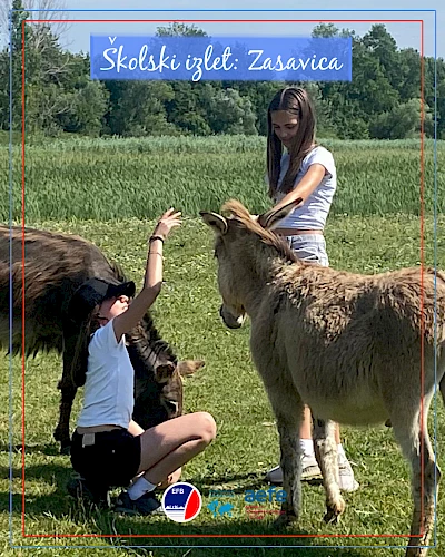 Školski izlet: Zasavica