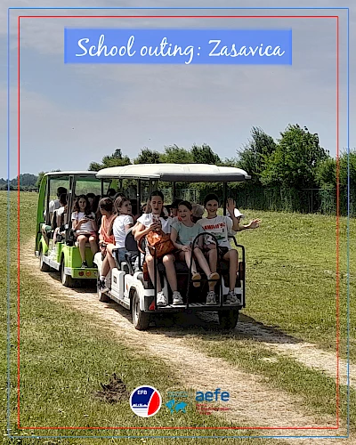 School Outing: Zasavica