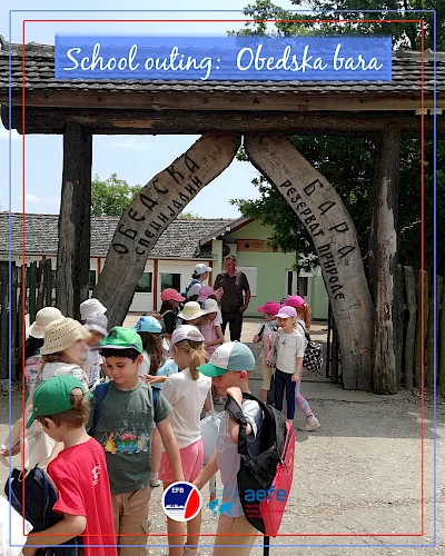 School Outing: Obedska bara
