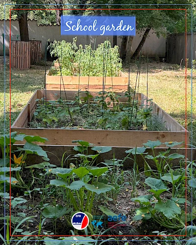 School garden