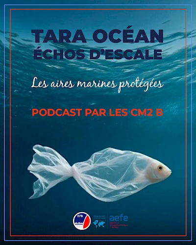 Échos d’escales : Podcast CM2 B, épisode 1