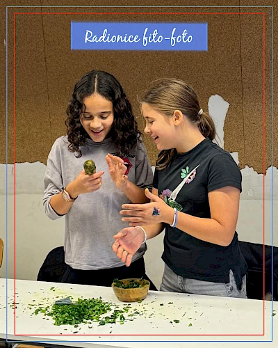 Aterliers: Phyto Photo