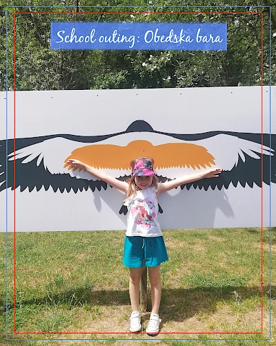 Sortie scolaire : Obedska bara 2026