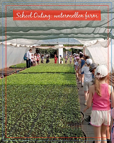 Sortie scolaire : propriété agricole